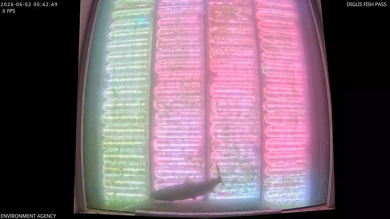 Video 2026-06-02 01:45