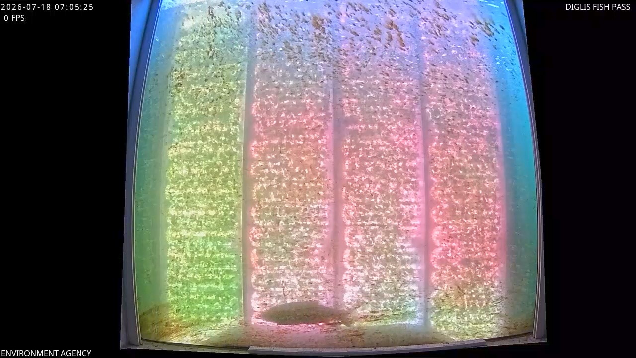 Video 2026-07-18 08:08