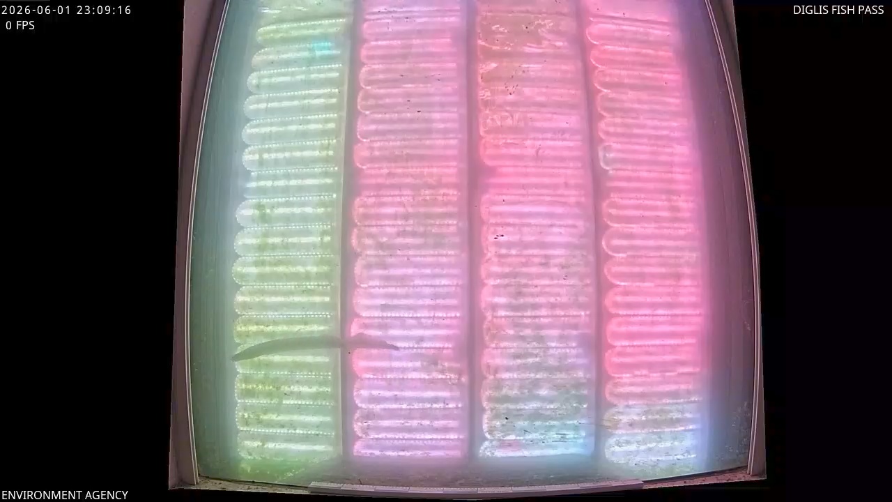 Video 2026-06-02 00:11