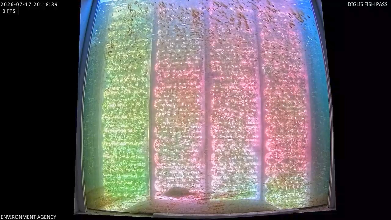 Video 2026-07-17 21:22