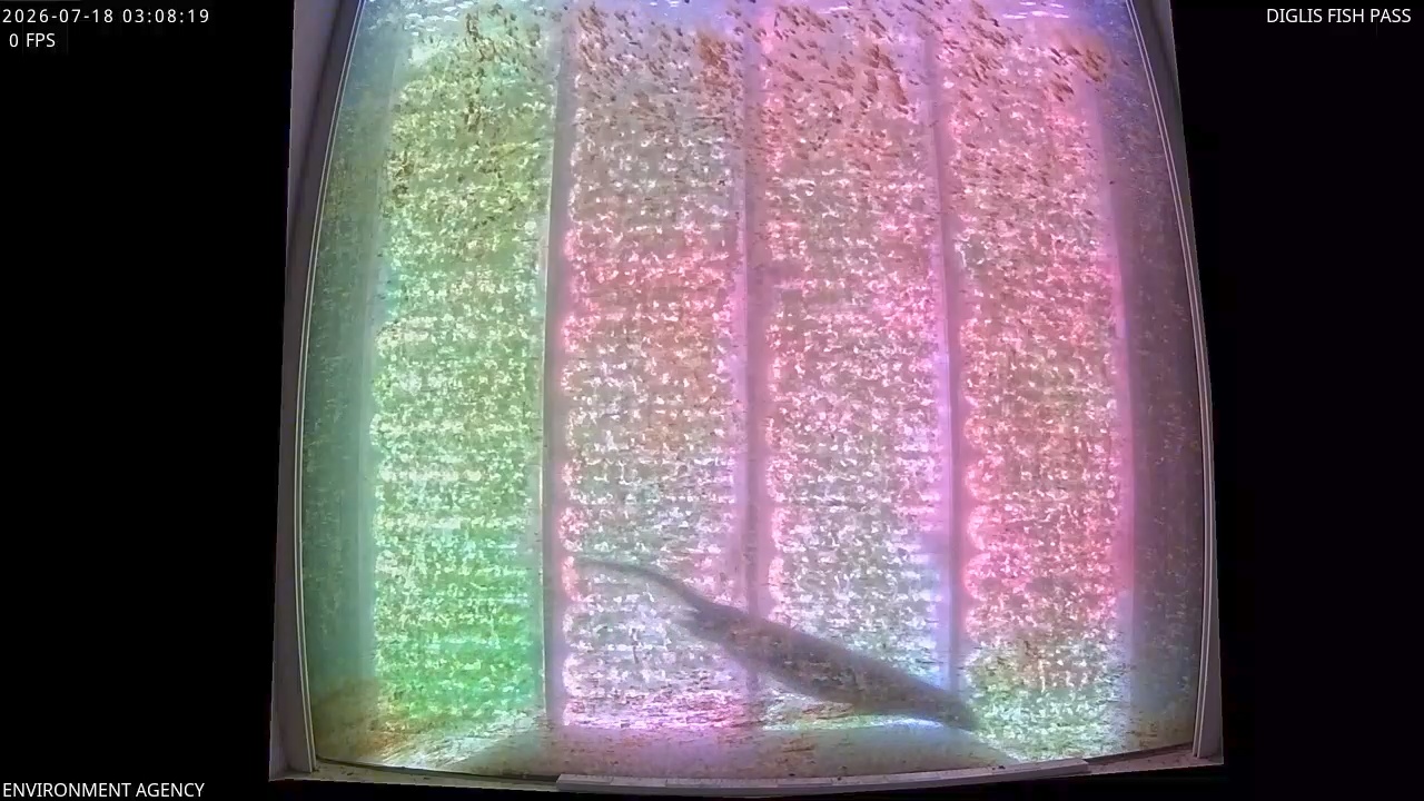 Video 2026-07-18 04:11