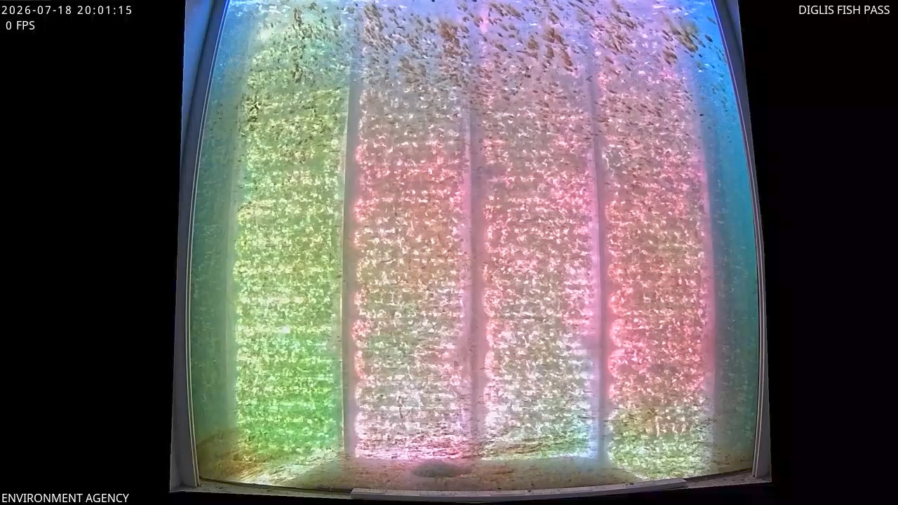 Video 2026-07-18 21:04