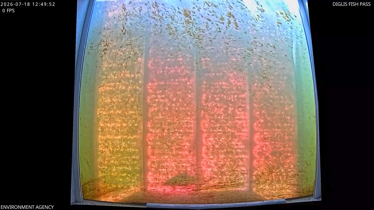 Video 2026-07-18 13:53
