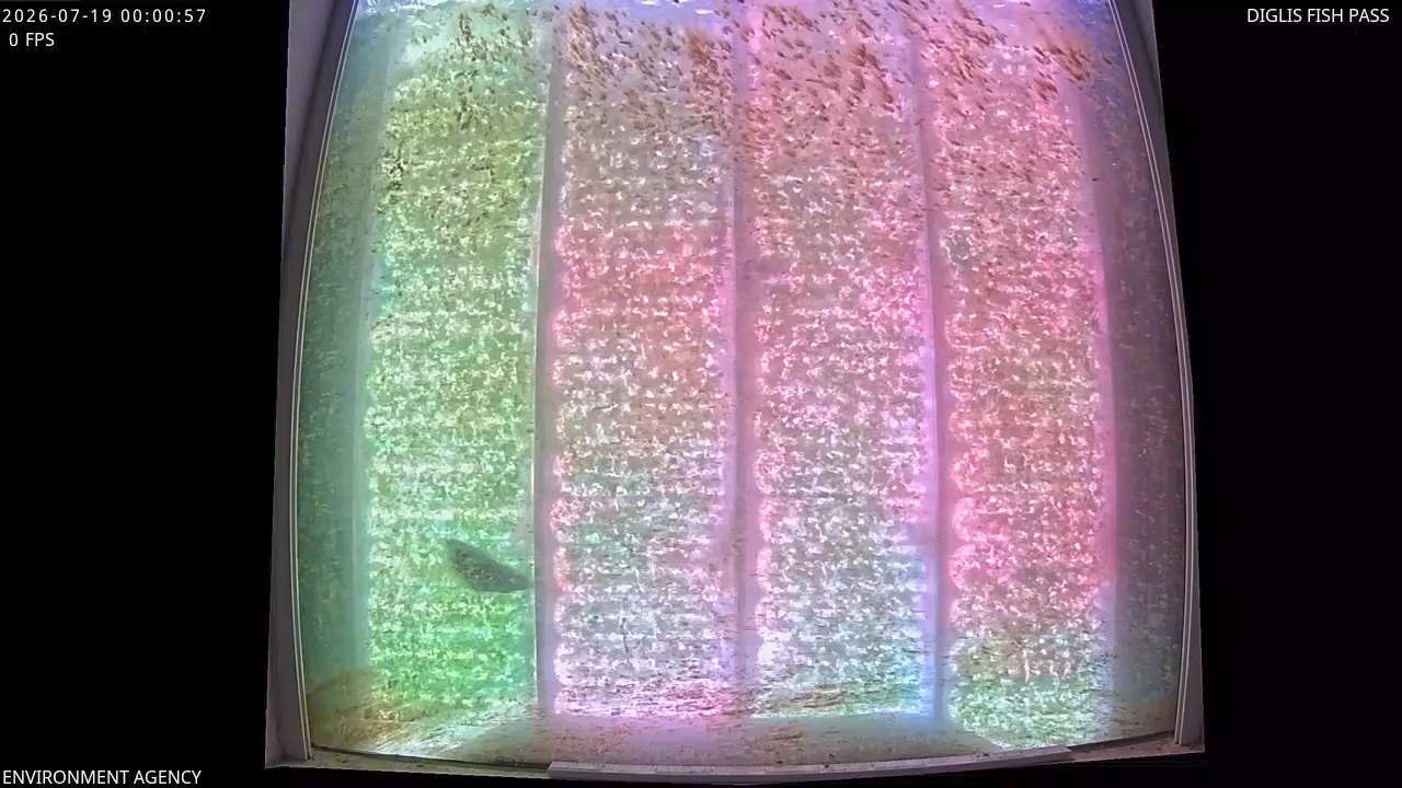 Video 2026-07-19 01:04
