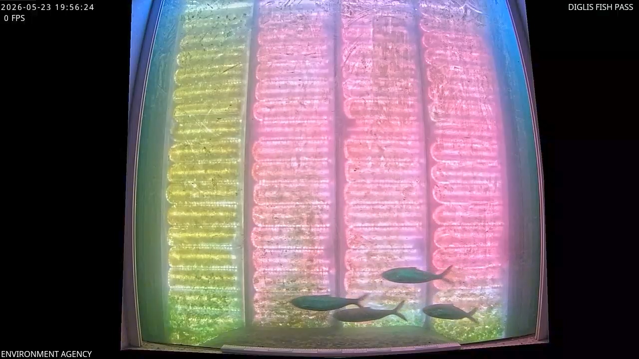 Video 2026-05-23 20:57