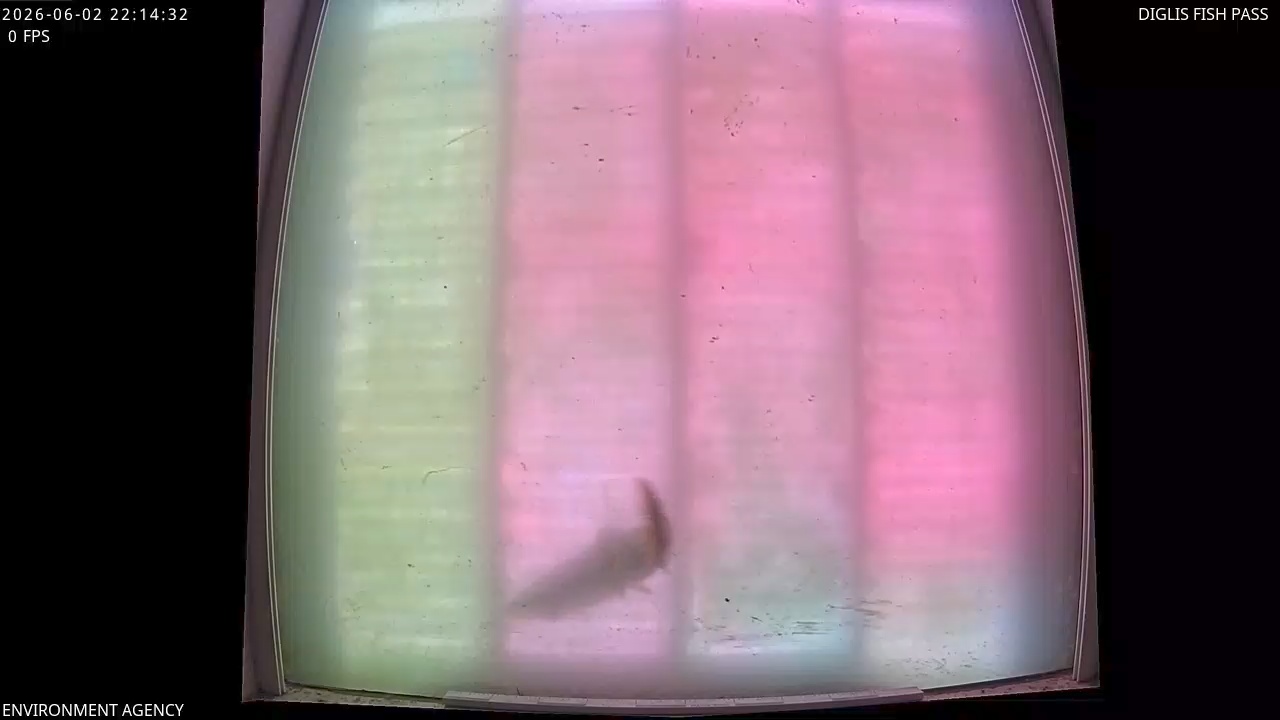 Video 2026-06-02 23:16