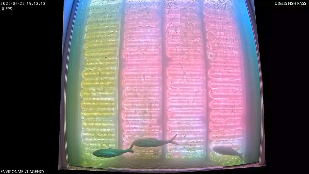 Video 2026-05-22 20:13