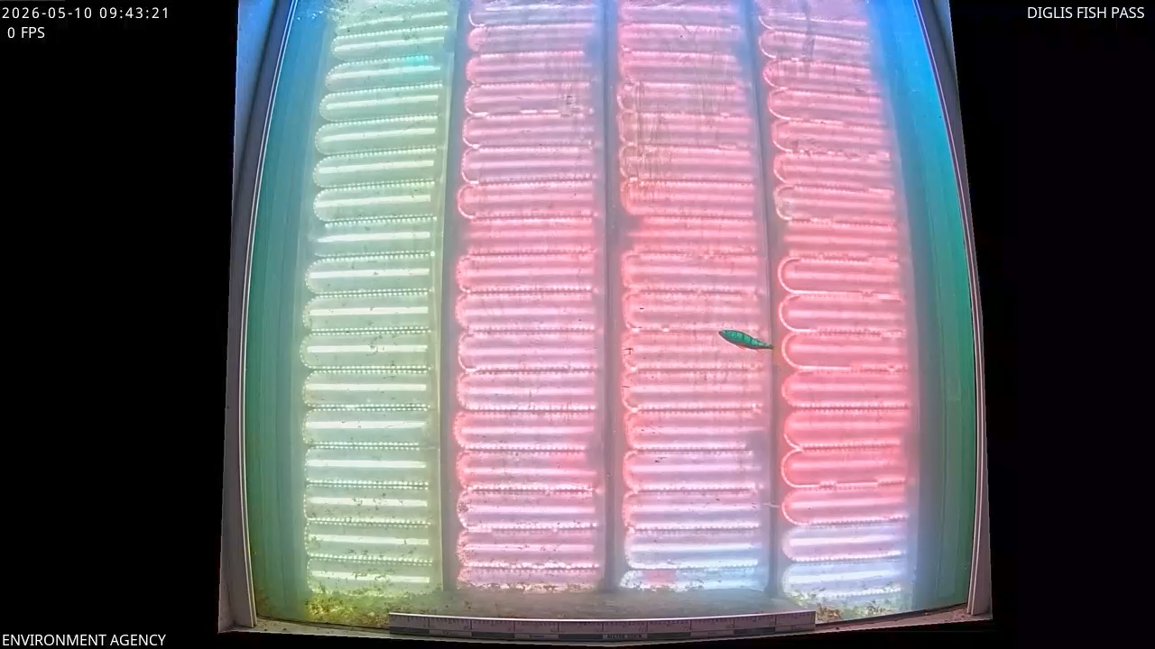 Video 2026-05-10 10:44