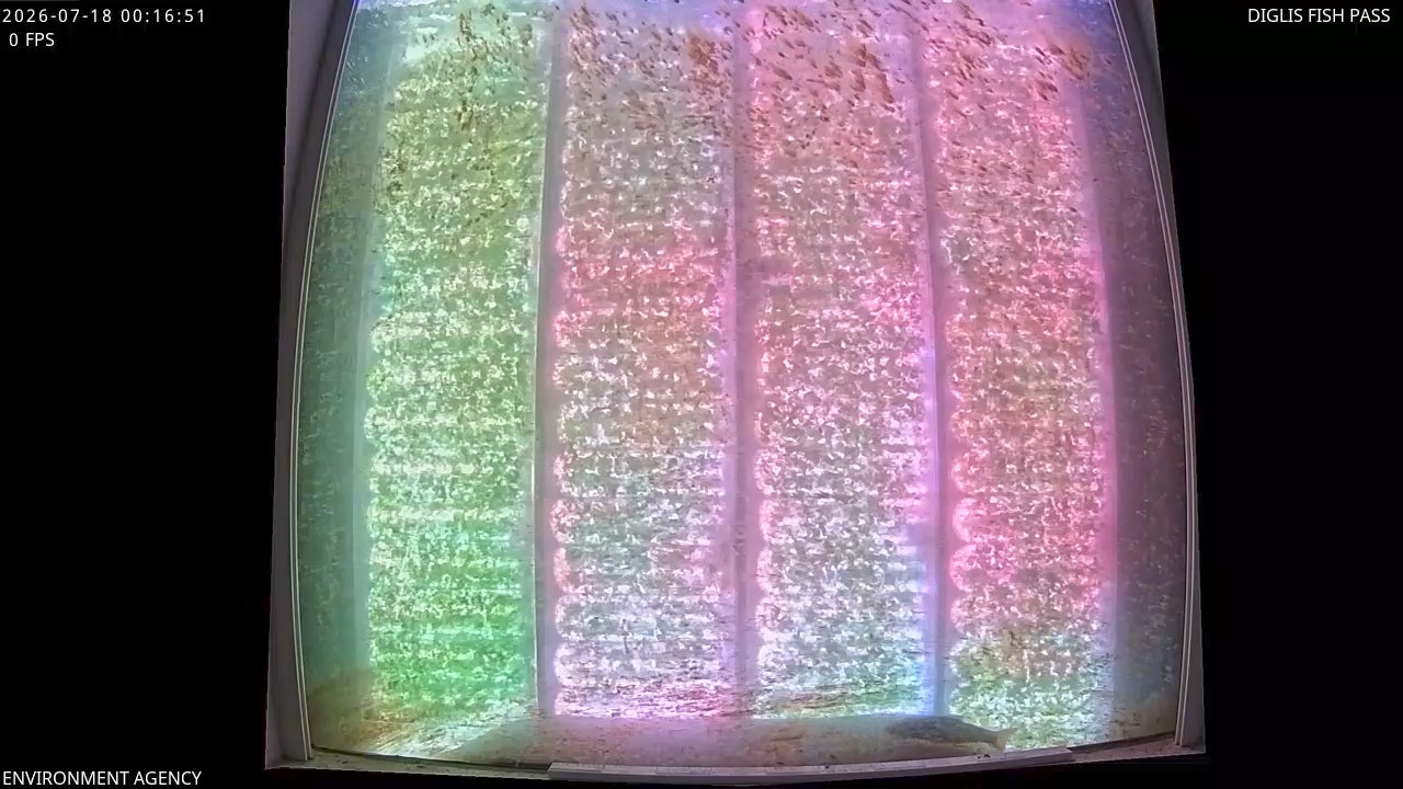 Video 2026-07-18 01:20