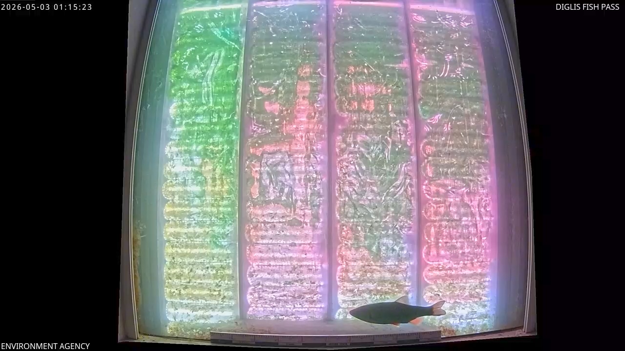 Video 2026-05-03 02:16