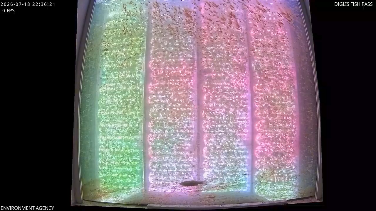 Video 2026-07-18 23:39
