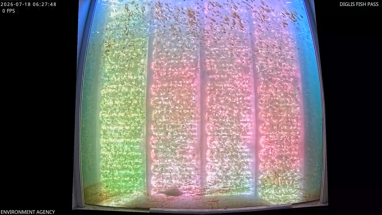 Video 2026-07-18 07:31