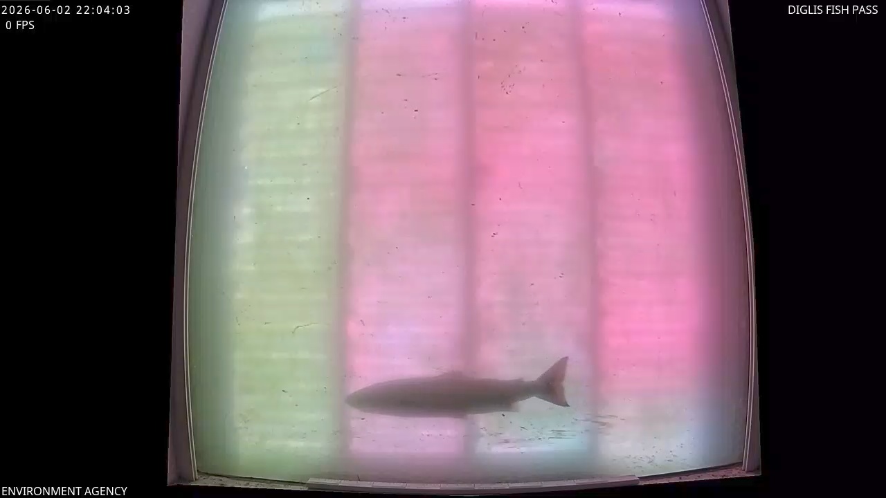 Video 2026-06-02 23:05