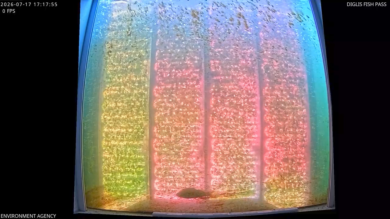 Video 2026-07-17 18:21