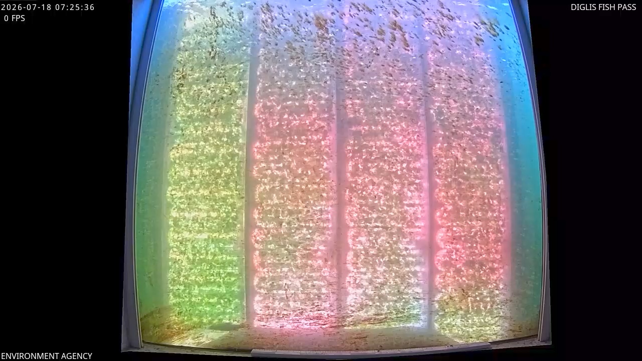 Video 2026-07-18 08:29