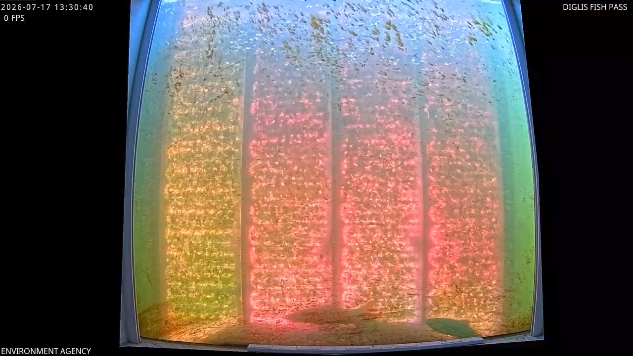 Video 2026-07-17 14:34