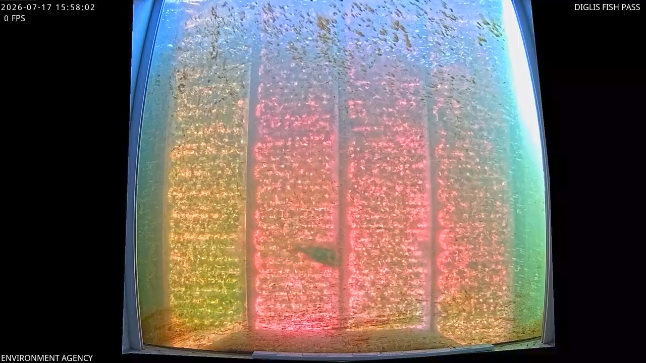 Video 2026-07-17 17:01