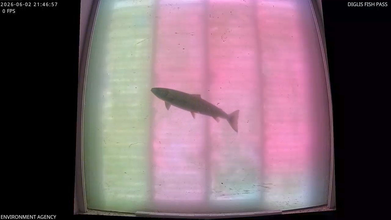 Video 2026-06-02 22:48
