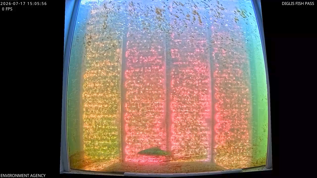 Video 2026-07-17 16:09