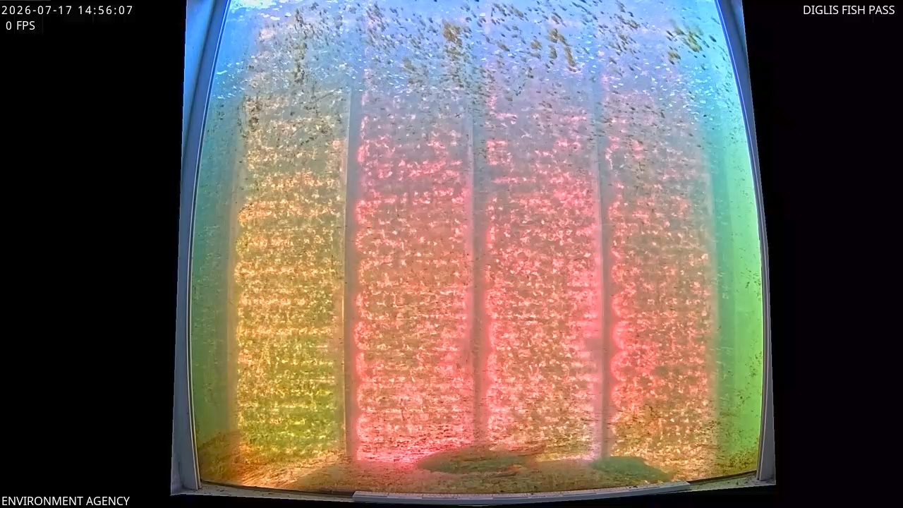 Video 2026-07-17 15:59