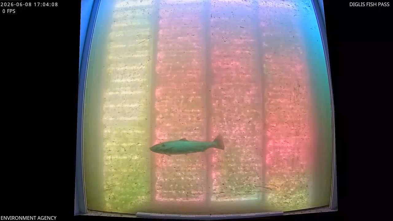 Video 2026-06-08 18:06