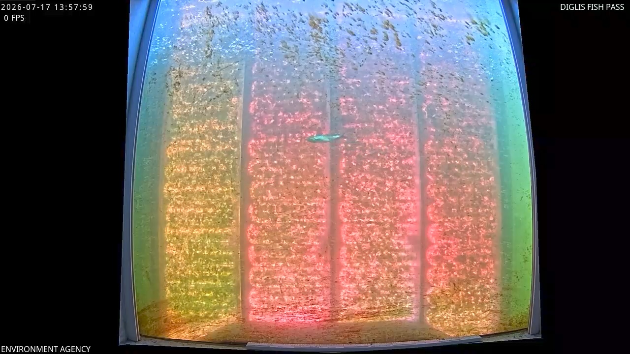Video 2026-07-17 15:01