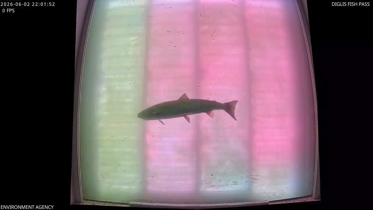 Video 2026-06-02 23:03