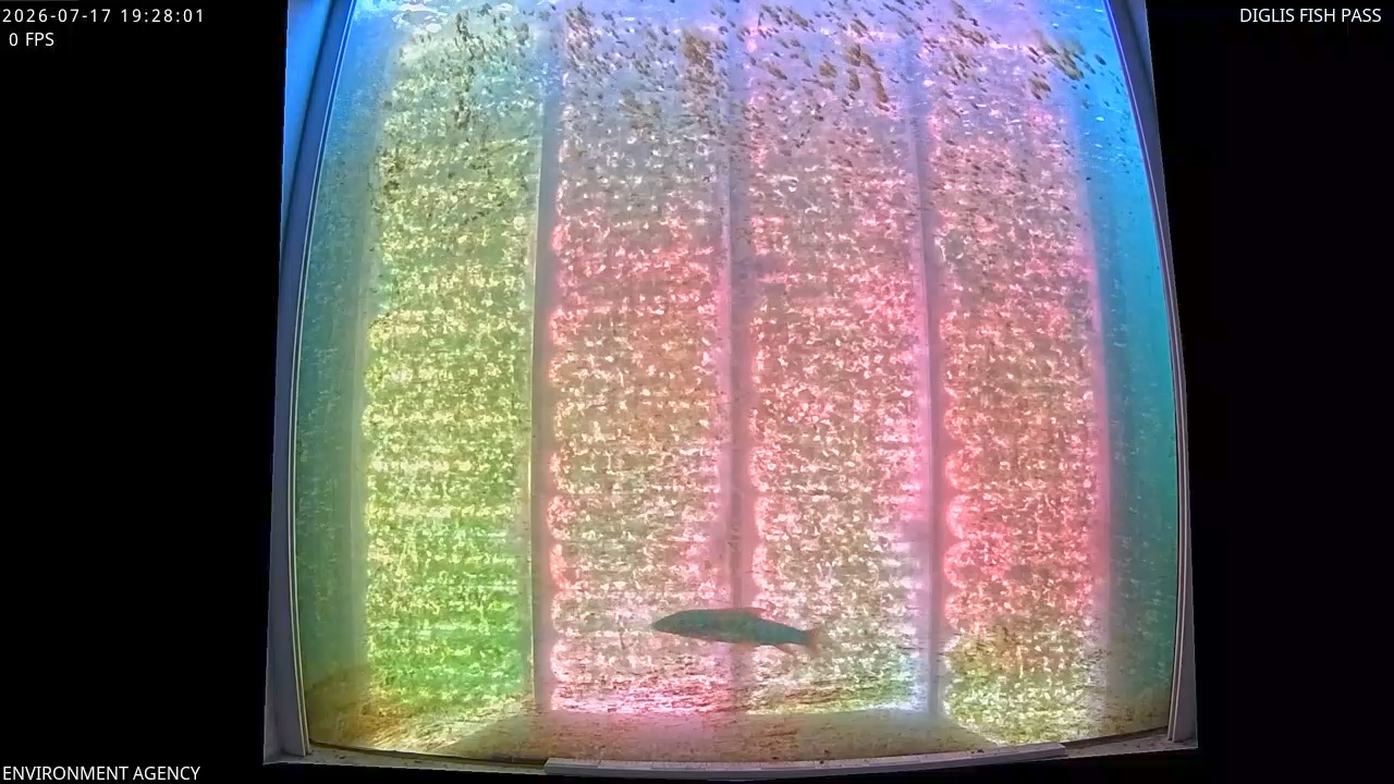 Video 2026-07-17 20:31