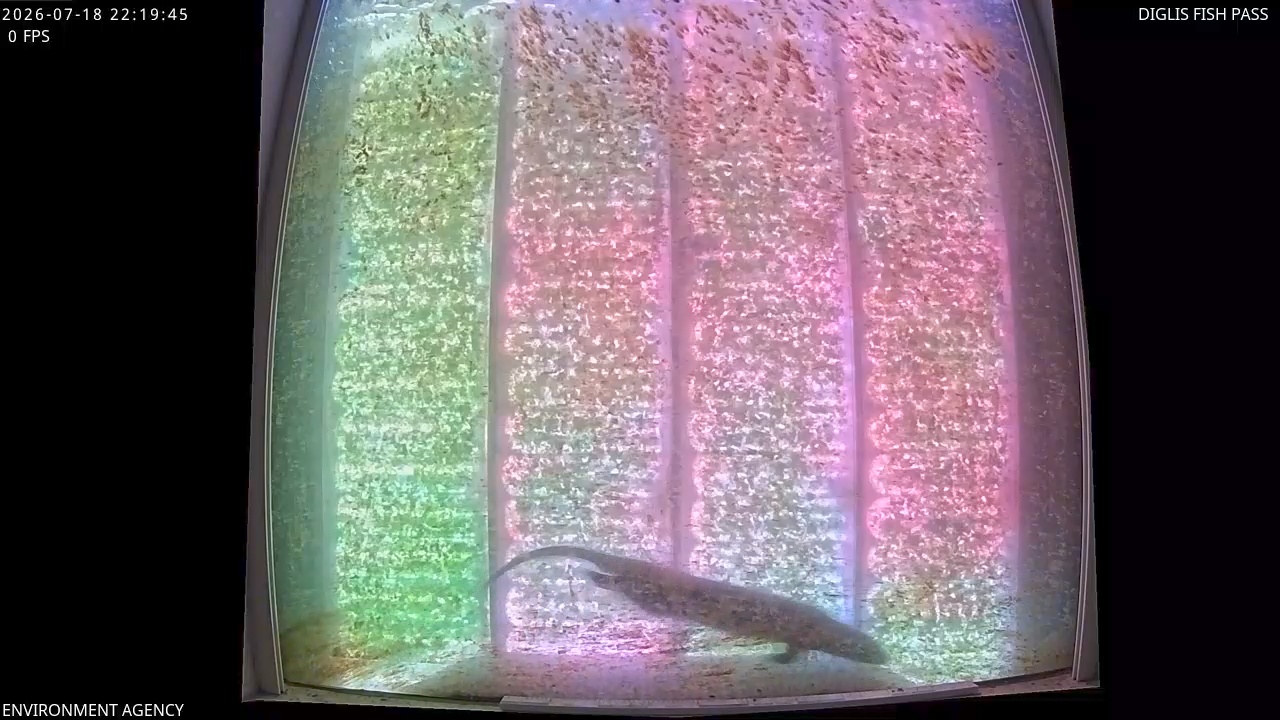 Video 2026-07-18 23:23