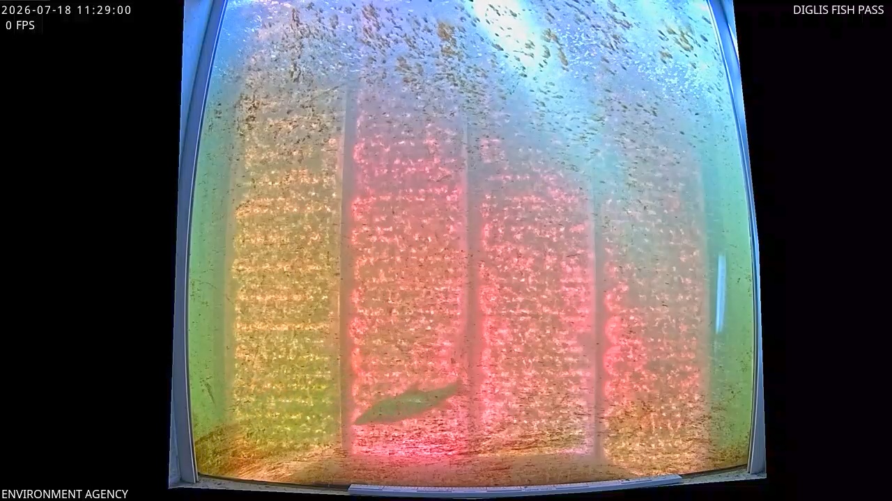 Video 2026-07-18 12:32