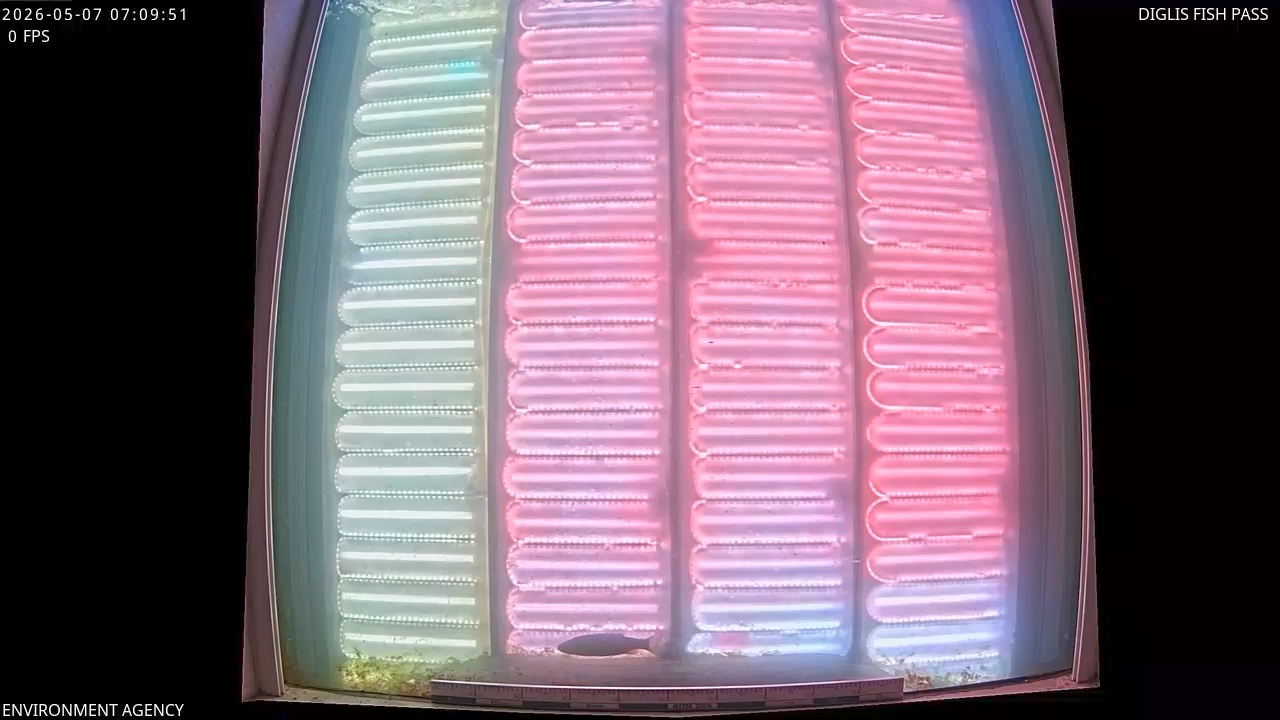 Video 2026-05-07 08:10
