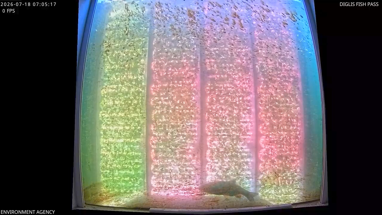 Video 2026-07-18 08:08