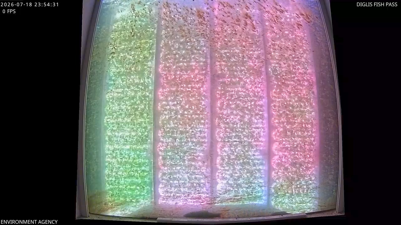 Video 2026-07-19 00:57