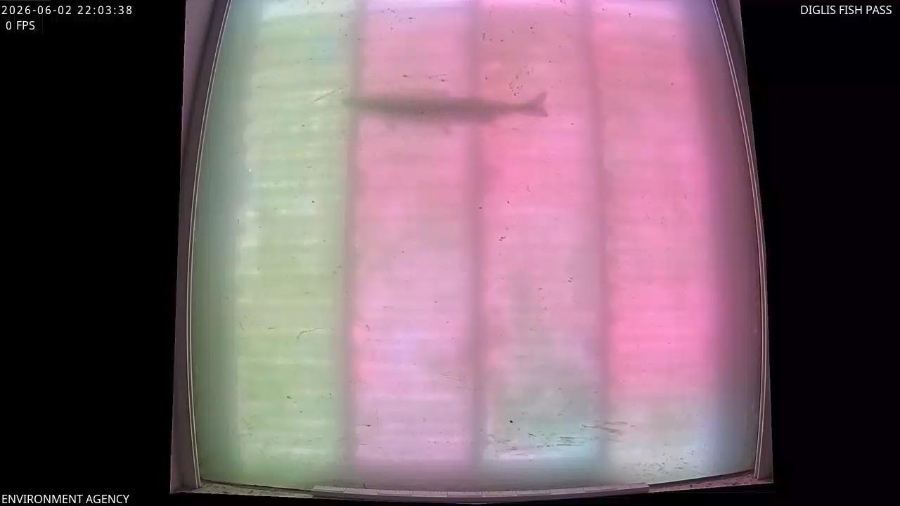Video 2026-06-02 23:05