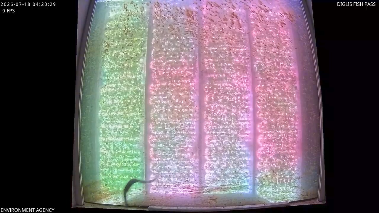 Video 2026-07-18 05:23