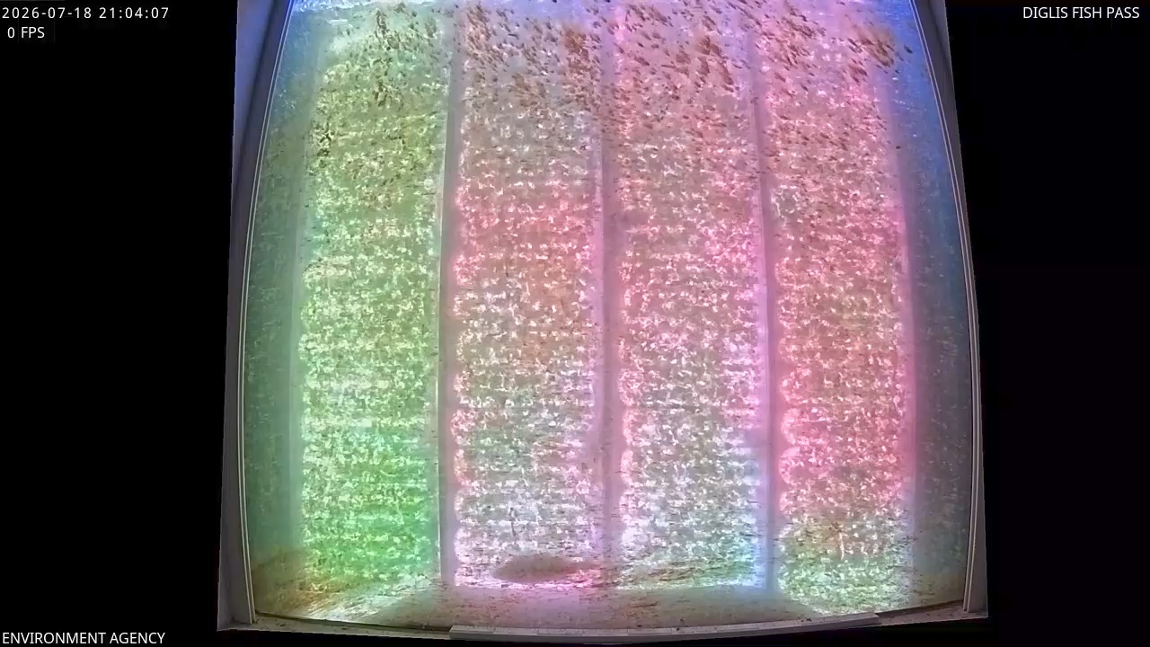 Video 2026-07-18 22:07