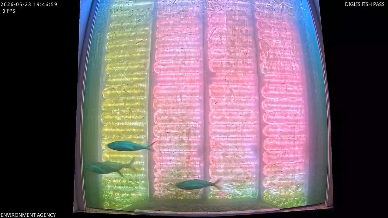 Video 2026-05-23 20:48