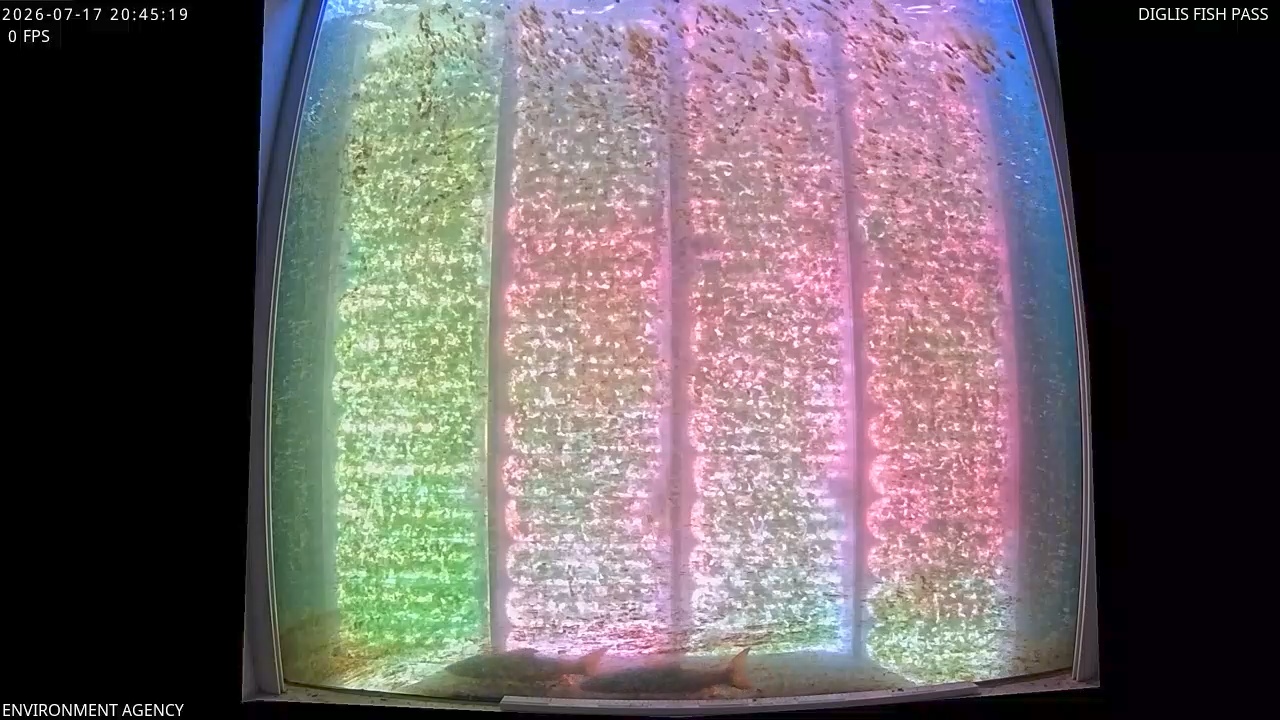 Video 2026-07-17 21:48
