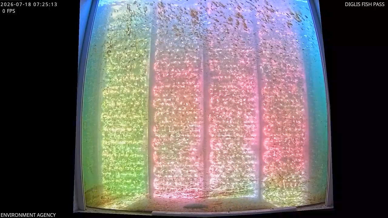 Video 2026-07-18 08:28