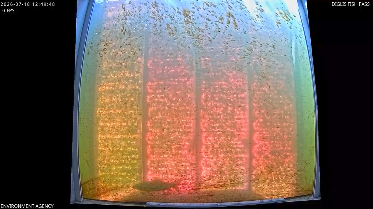 Video 2026-07-18 13:53