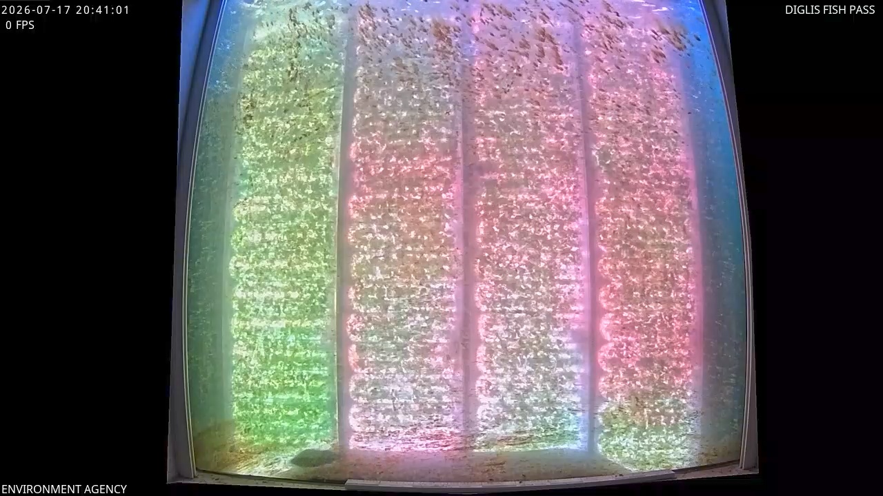 Video 2026-07-17 21:44