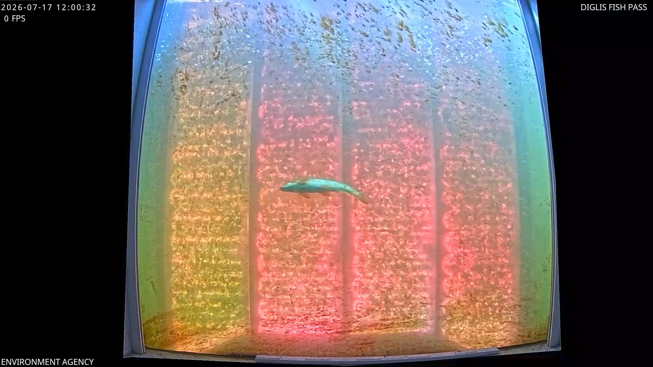 Video 2026-07-17 13:03