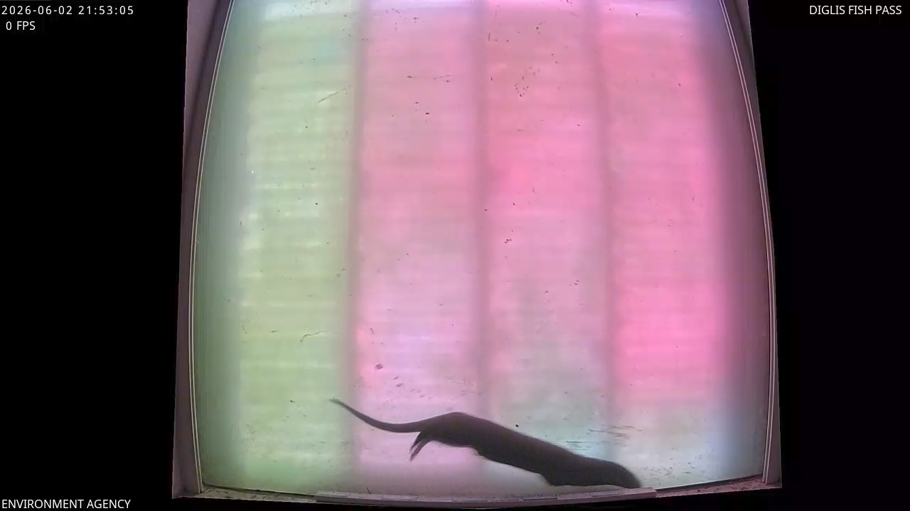 Video 2026-06-02 22:54
