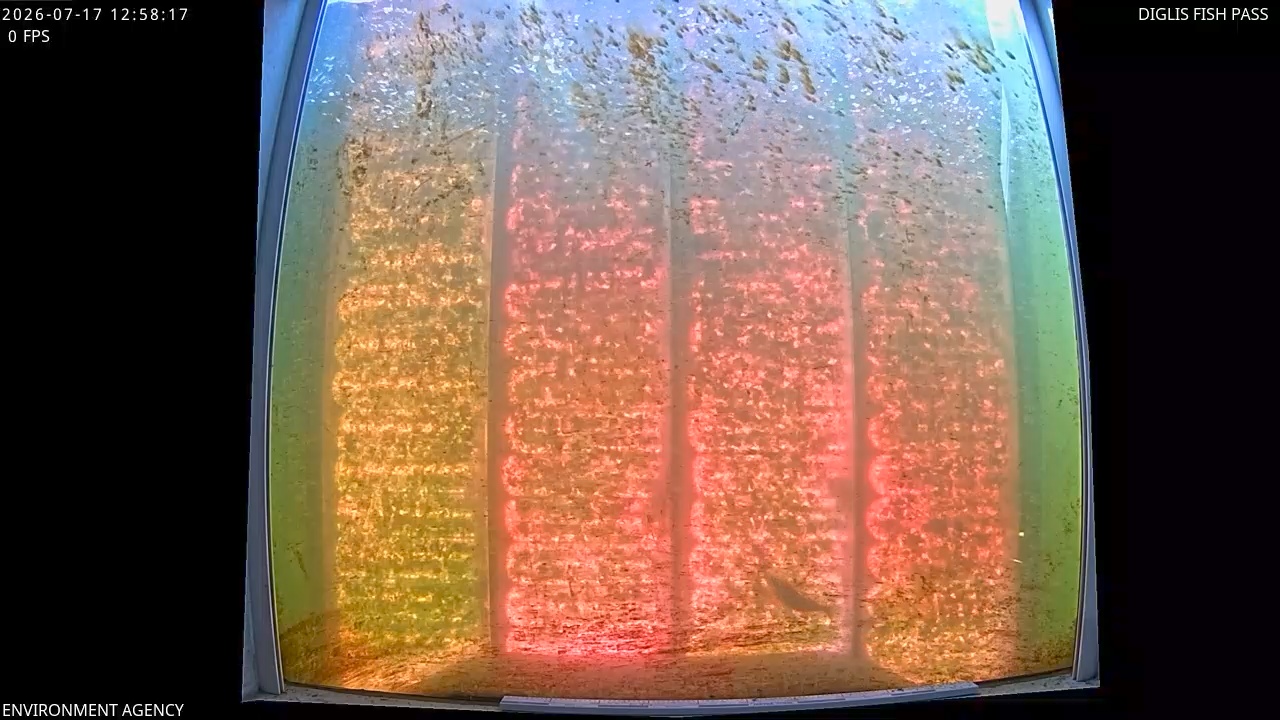 Video 2026-07-17 14:01