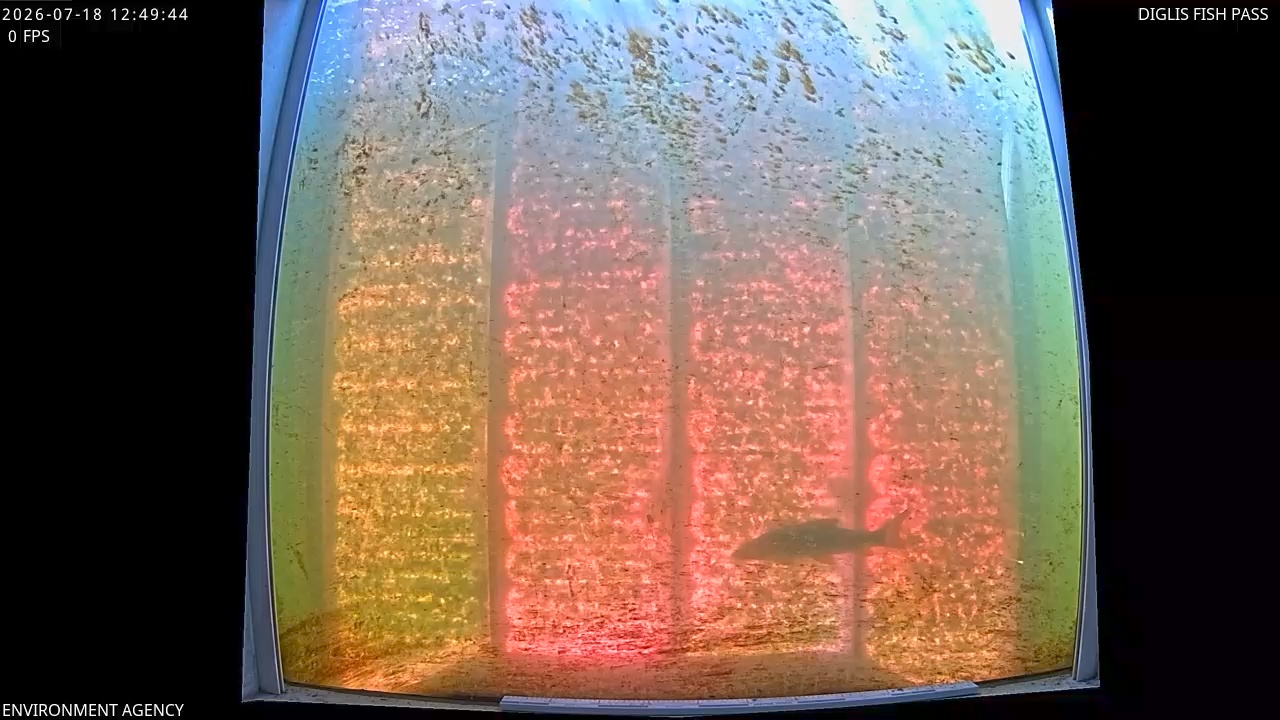 Video 2026-07-18 13:53