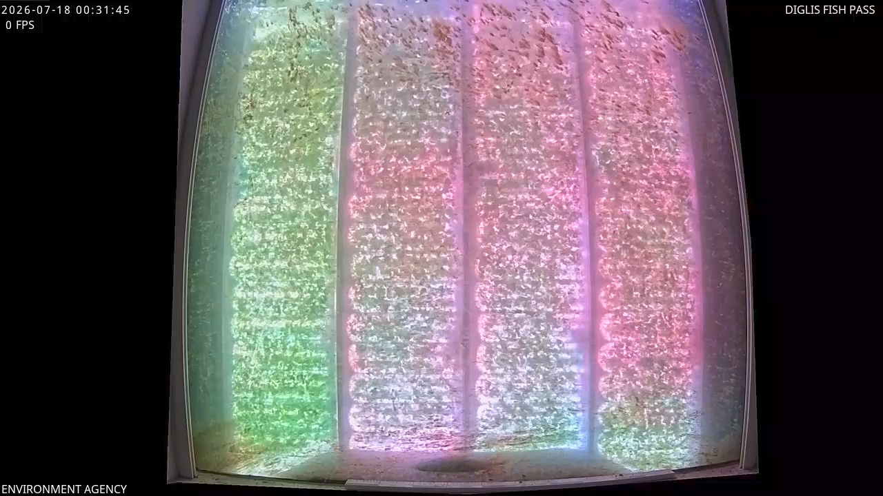 Video 2026-07-18 01:35
