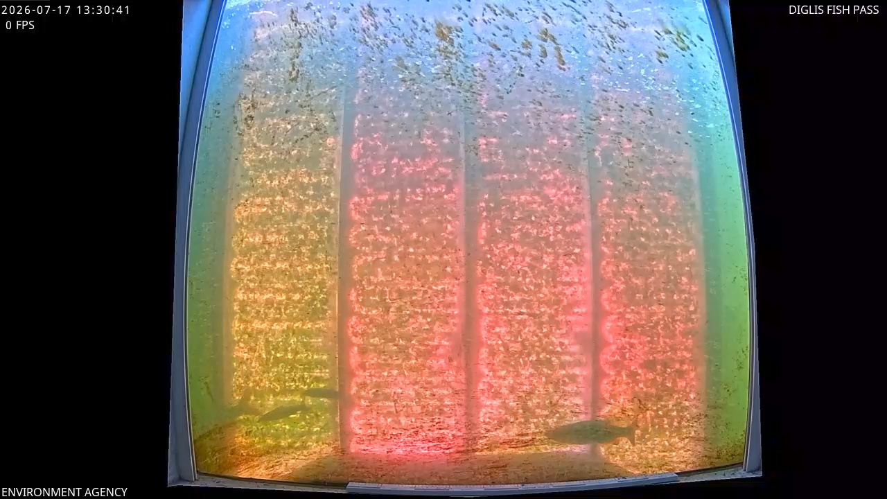 Video 2026-07-17 14:34