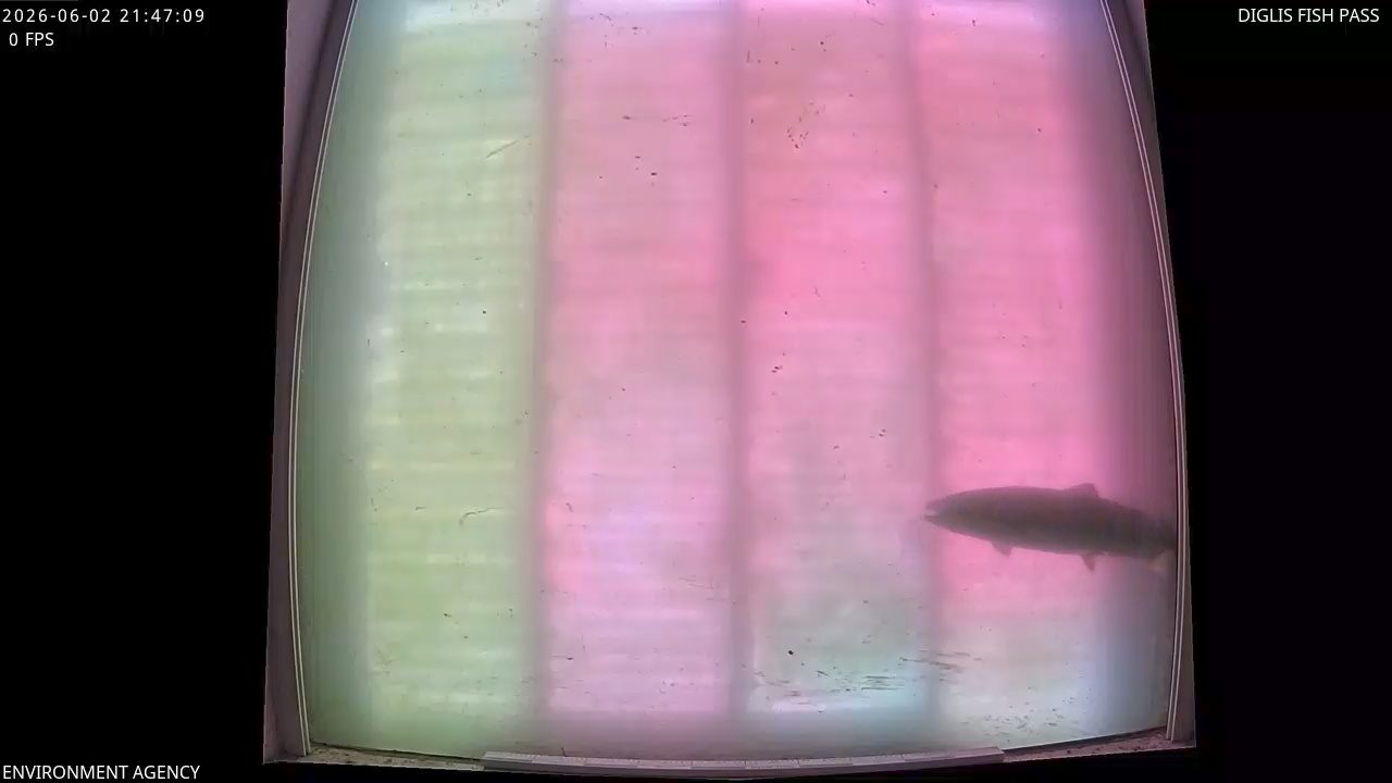 Video 2026-06-02 22:48