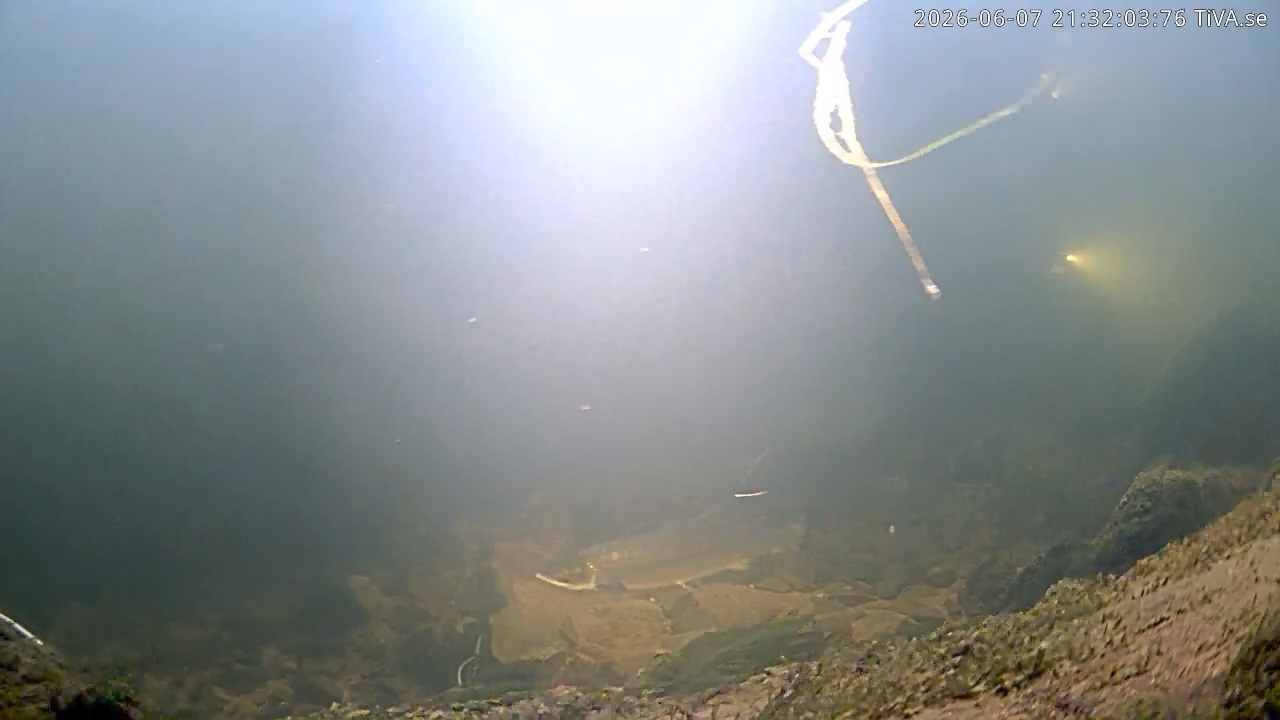 Video 2026-06-07 21:32