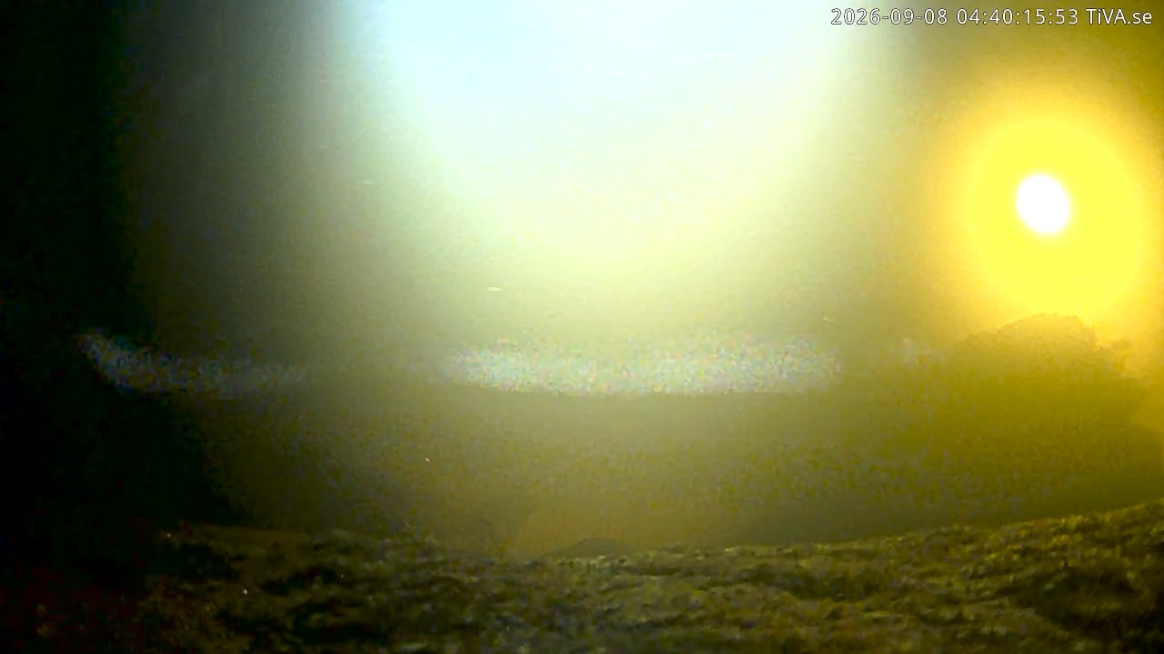 Video 2026-09-08 04:40